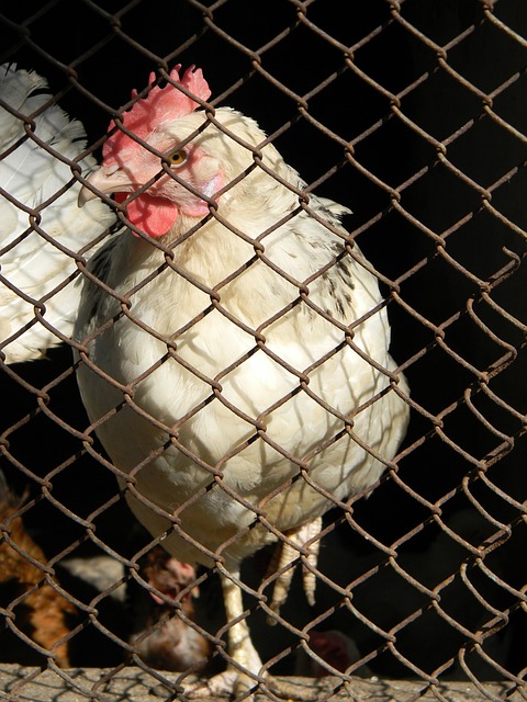 他今天像一位艺术家